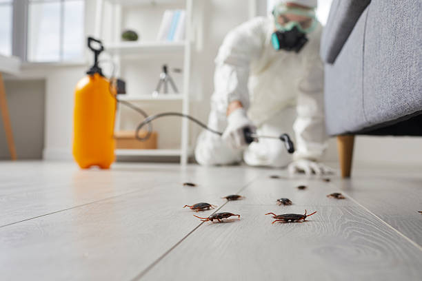 Commercial Kitchen Cockroach Control in North Syracuse